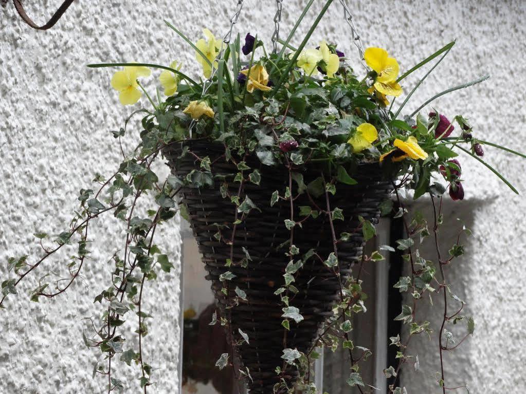 The Red Lion Hotel Oakford Exterior foto
